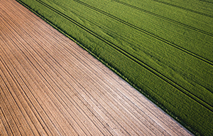 Negotiation In Agriculture | Guide image